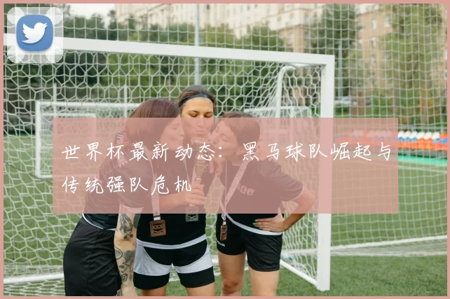 世界杯最新动态：黑马球队崛起与传统强队危机