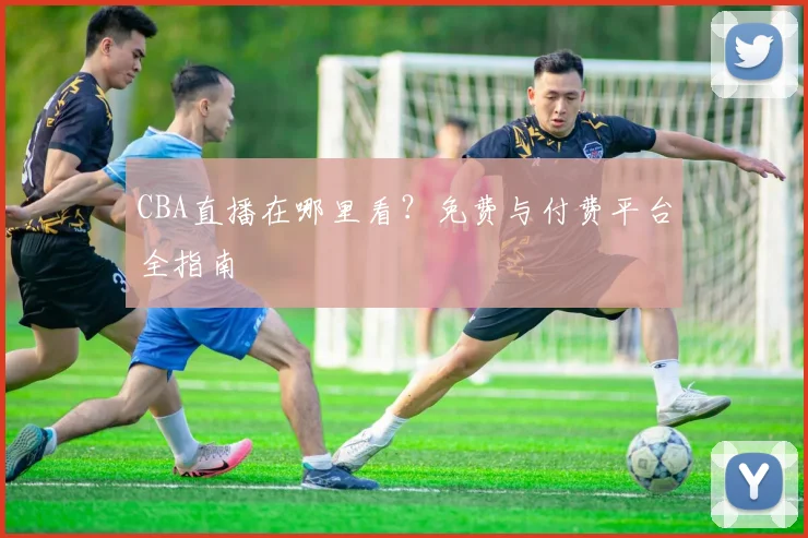 CBA直播在哪里看？免费与付费平台全指南